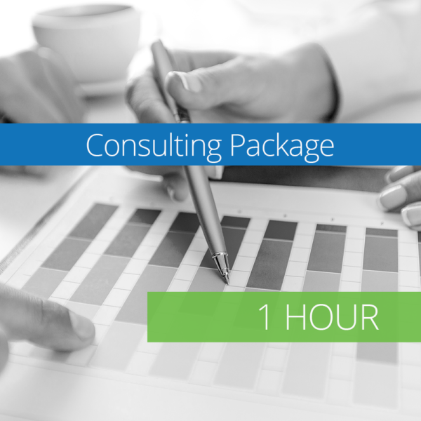 Consulting Package - 1 Hour