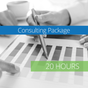 Consulting Package - 20 Hours